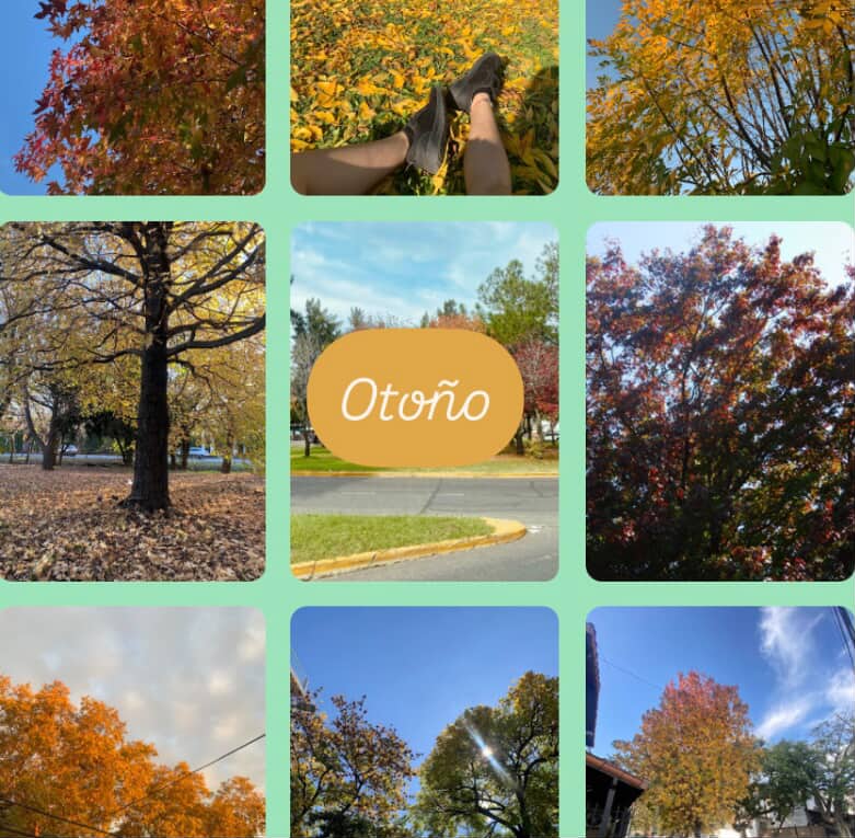 Otoño en Buenos Aires 2025