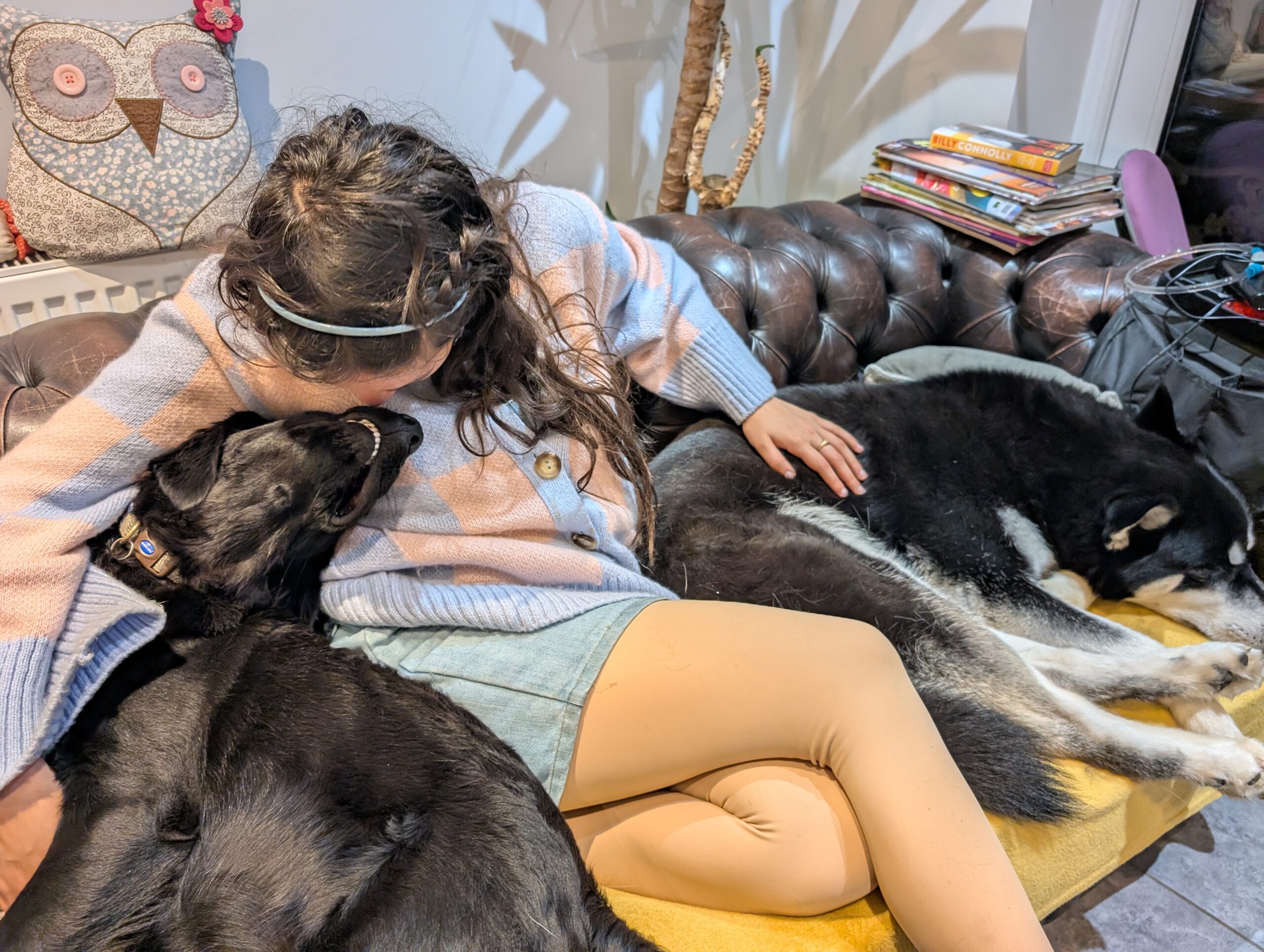 Meeting the Dasher and the Gizzler